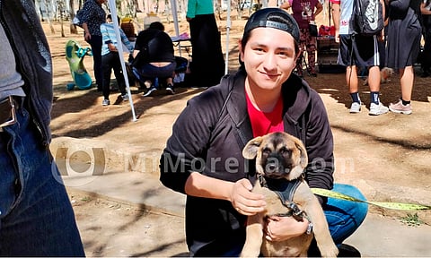 Son 18 perritos los que esperan un hogar en la Feria de la Adopción del Bosque Cuauhtémoc