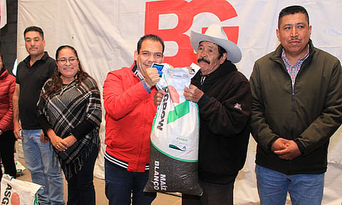 Tarímbaro destaca a nivel estatal por su producción de maíz elotero
