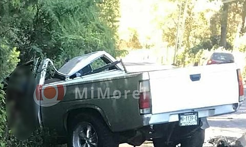 Choca contra un pino y muere, en Michoacán