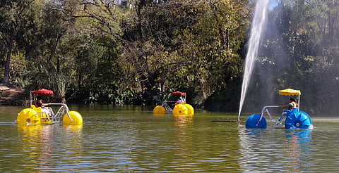 Zoológico de Morelia, con actividades acuáticas para esta Semana Santa 