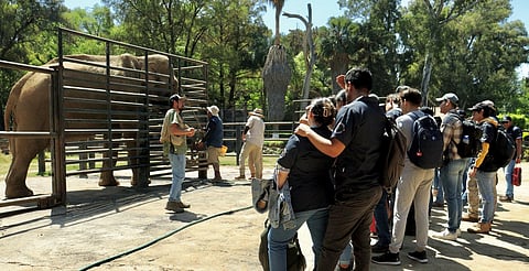 Por período vacacional esperan más de 30 mil visitantes en el Zoo de Morelia