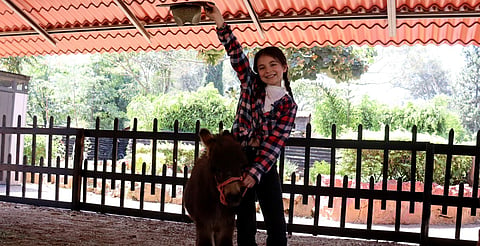 Vive la experiencia de ser granjero por un día en el Zoo de Morelia