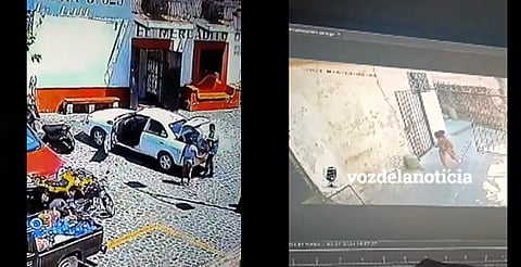 VIDEO: cuerpo de niña Camila fue escondido y sacado en bolsa de basura