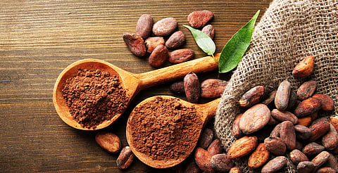Un estudio afirma que el cacao no procede de México