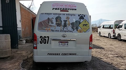 Ruta Gris promueve adopción de perritos en Morelia y pide no atropellarlos