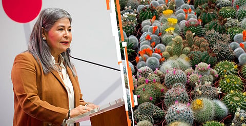 Invita Mayela Salas al 1er Festival de Cactáceas Morelia
