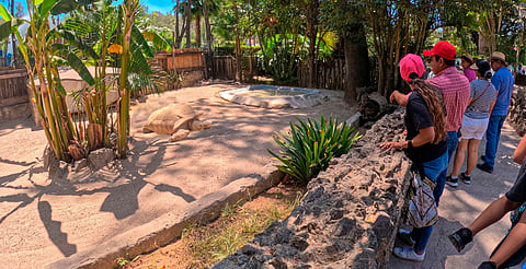 Zoológico de Morelia, orientado a convertirse en un parque ecológico