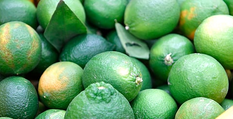 limon