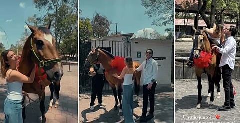 El torero Tarik Othon regala caballo a su novia Mía Rubín