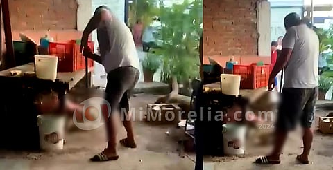 Lo buscan por matar a perrita embarazada en LC; le atravesó una barra
