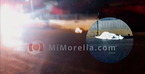 Vehículo arrolla y mata a peatón en la Morelia–Salamanca