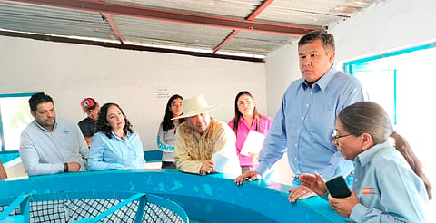 La Comisión de Pesca del Estado reafirma su compromiso de trabajar para buscar soluciones y brindar apoyo a los pescadores y acuicultores michoacanos