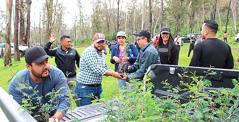 En Morelia, reforestan Área Natural Protegida Piedra del Indio