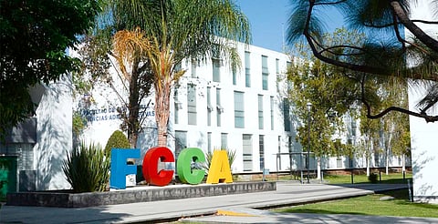 FCCA de la UMSNH beneficia a 84 profesores con el proceso de actualización de asignaturas