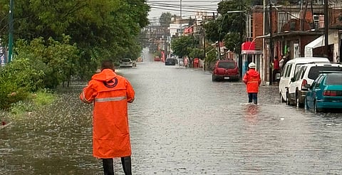 Suman tres los árboles caídos y una barda, tras lluvias en Morelia