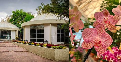 Visita el orquidario de Morelia y sus más de 200 variedades 