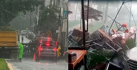 Fuerte lluvia genera caos en Morelia; árboles caídos y calles inundadas [VIDEOS]