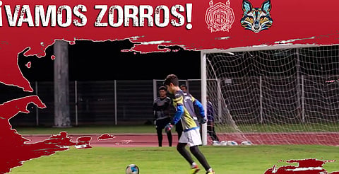 Zorros de la UMSNH debutarán con espectáculo de luces y presentación de Glowman Show