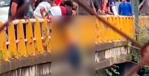 Ciudadanos evitan que mujer se lance al río Cupatitzio de Uruapan [Video]
