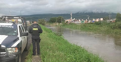 Desfogue de presa de Cointzio generó pérdidas en 250 hectáreas de maíz