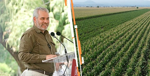 Con Agrosano Digital se atiende el mejoramiento de cultivos: Bedolla 