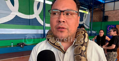 Descubren en Michoacán serpiente única en el mundo; está en riesgo crítico