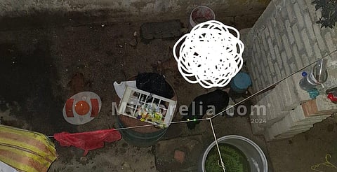 Rescatan a perritos en Morelia; de hambrientos eran caníbales
