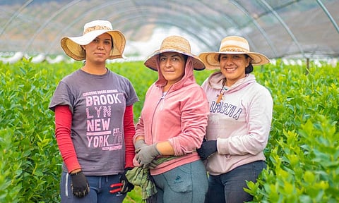 Mujeres migrantes trabajan a la par de hombres, pero con retos dobles: Misión Hispana