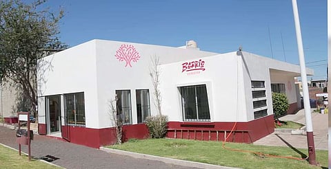 Migrantes, población prioritaria a atender en Ceibas: Sedebi