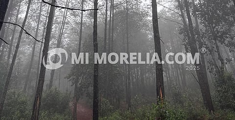 Pico Azul: el punto más alto de Morelia y lugar para hacer senderismo