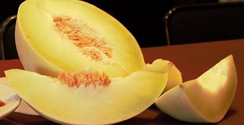 Zicuirán, Michoacán, alista 13ª Feria del Melón