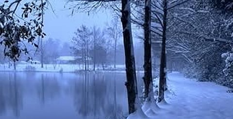 Nevada histórica en Florida cubre playas; supera en nieve a Nueva York [Fotos]