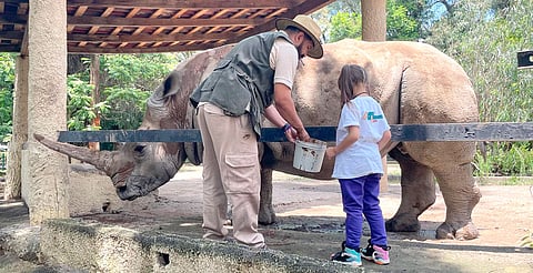 Los viernes son de aventura y diversión en el Zoológico de Morelia