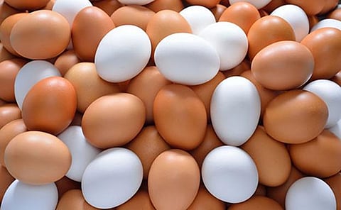 Escasez de huevo en EU dispara precios y afecta a consumidores