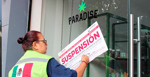 Cofepris alerta por comercialización de productos con CBD 