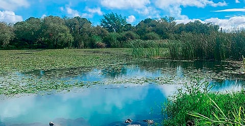 Morelia sin preocupaciones de agua ante próxima temporada de sequía: Ooapas