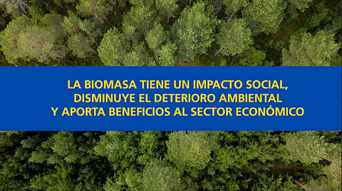Energía biomasa es indispensable para el futuro
