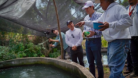 Gobierno de Alfonso Martínez apoya producción piscícola en las tenencias