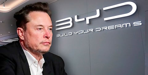 BYD deja atrás a Tesla y revoluciona el mercado global de autos eléctricos