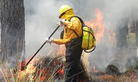 Inicia acopio de víveres para brigadistas forestales en Morelia