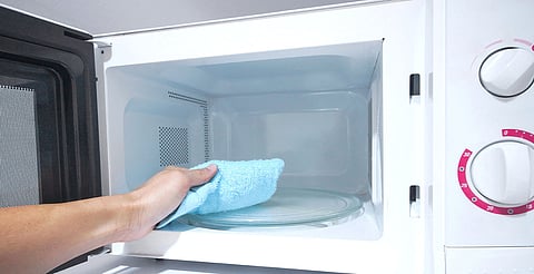 ¡Cuidado! Así se convierte tu microondas en criadero de bacterias
