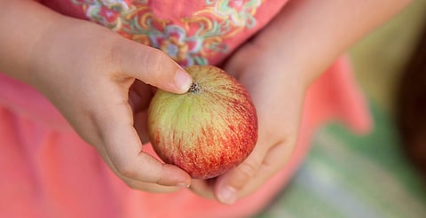 Prohibición de comida chatarra en escuelas mejorará rendimiento de alumnos: nutrióloga 