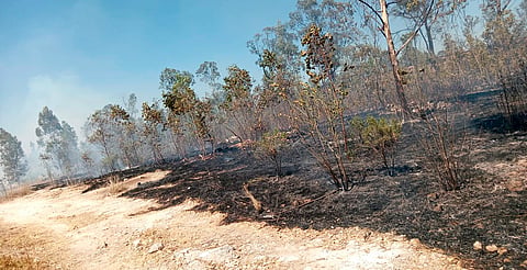 Se registra incendio en zona de Altozano; PC Michoacán trabaja en el control