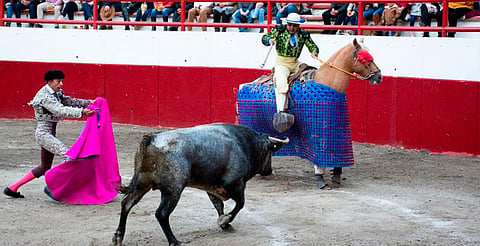 ¡Oficial! Entra en vigor decreto que prohíbe las corridas de toros en Michoacán 