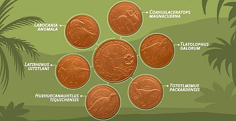 Las medallas estarán disponibles en puntos de venta físicos y en línea