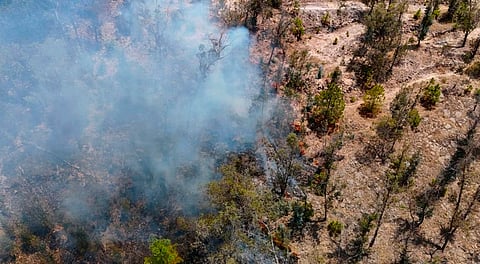 Controlan brigadas 14 incendios forestales en Michoacán, resalta Cofom