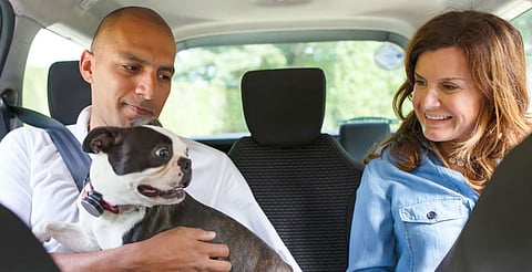 A partir de hoy, Uber Pet está disponible en Morelia