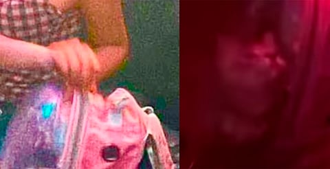 ¡No es peluche! Acusan a joven de llevar a su gato a antro y dejarlo encerrado en una mochila