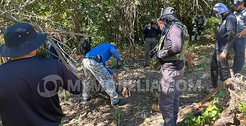 Hallan fosa clandestina con 3 osamentas, en Aquila, Michoacán