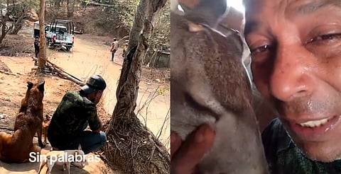 Zoo de Morelia sólo resguarda venados de Chago Gallo por petición de Profepa: Bedolla